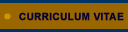Curriculum Vitae